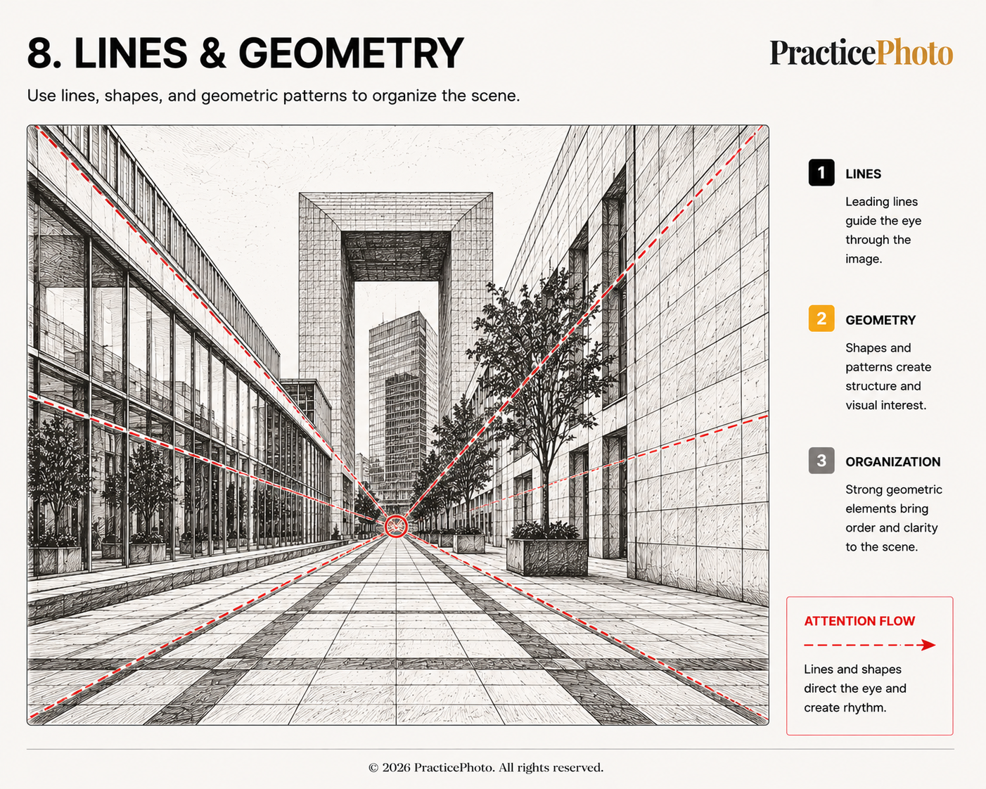 Lines & geometry illustration