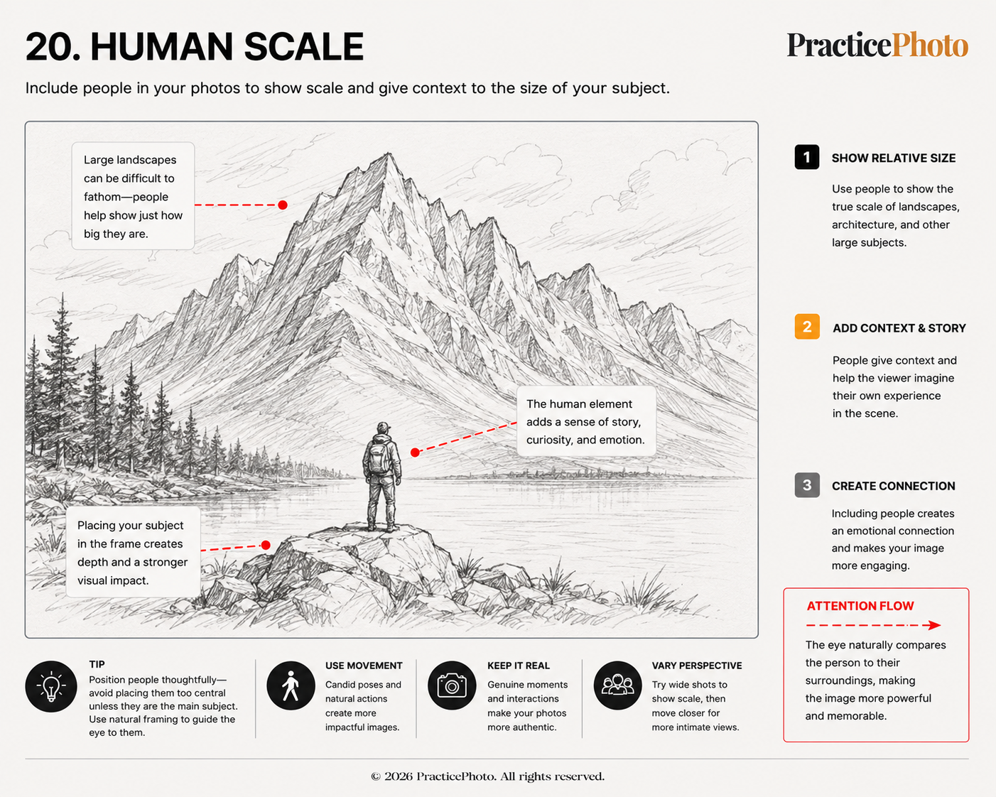 Human scale illustration